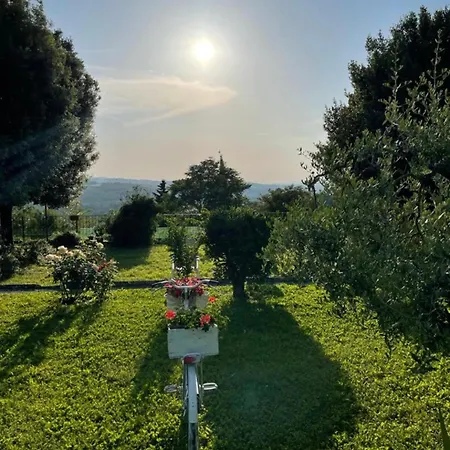 Il Vecchio Forno *